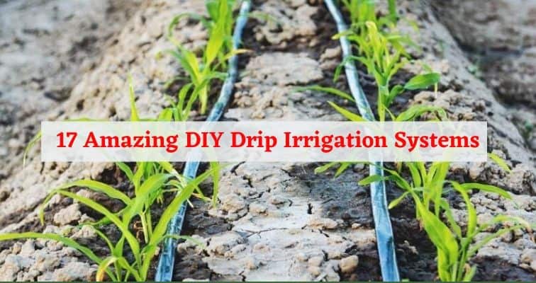 17 Amazing DIY Drip Irrigation Systems