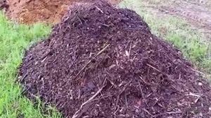 Compost wood chips