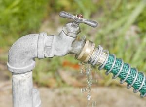 Garden hose's link with the spigot