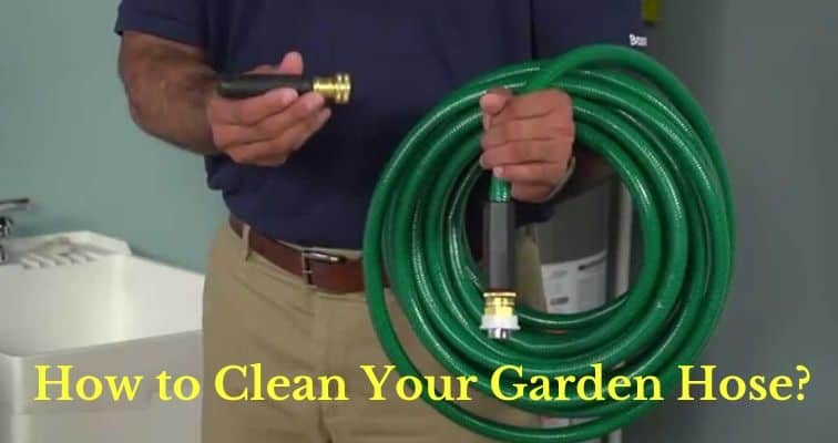 How to Clean Your Garden Hose