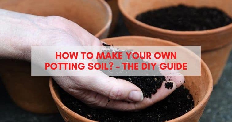 How to Make Your Own Potting Soil