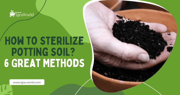 How to Sterilize Potting Soil