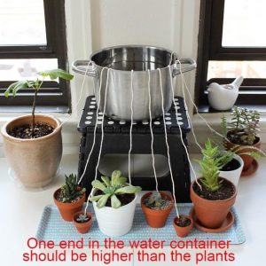 Indoor Plants Watering Wick