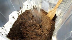 Mixing boiled water with soil on the bowl