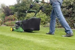 Mow the lawn to overseed