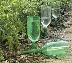 Plastic Bottle Drip Irrigation