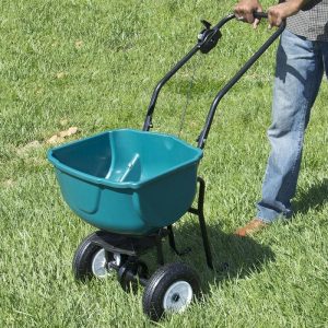 Seeding the lawn with seed spreader