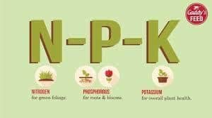 The main ingredients in fertilizer are Nitrogen, phosphorus and potassium