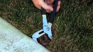 Using locking pliers grasp the sprinkler’s head and pull it up