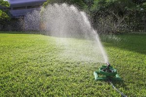 Water the lawn