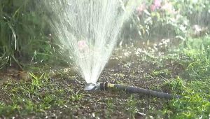 Watering new grass seed shortly after planting new seeds