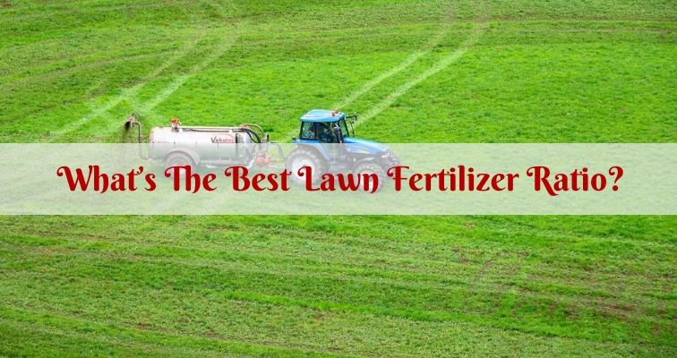 What’s The Best Lawn Fertilizer Ratio