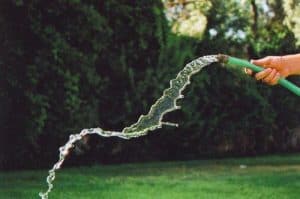 connect hose to a water faucet and run water