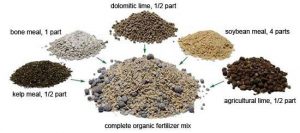 natural fertilizers for homemade mixes