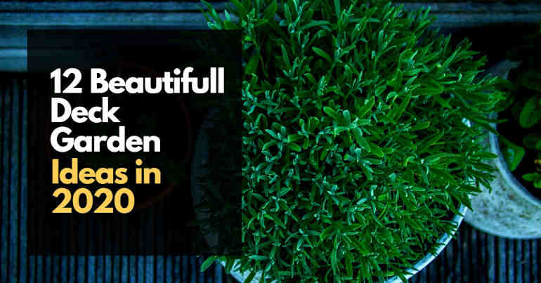 12 Beautiful Deck Garden Ideas in 2020