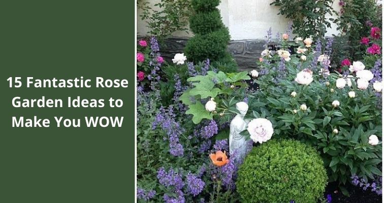 15 Fantastic Rose Garden Ideas to Make You WOW