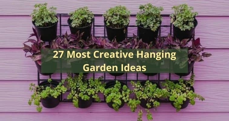27 Most Creative Hanging Garden Ideas