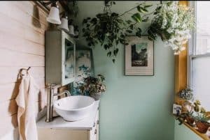 Bathroom Gardening