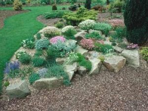 Check the soil before planting your rock garden