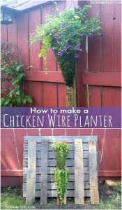Chicken Wire Planter