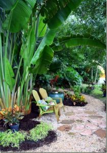 Cozy Tropical Garden