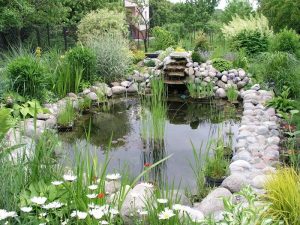 DIY Mini Wildlife Pond