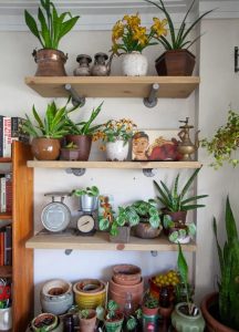 Easy Shelf Garden