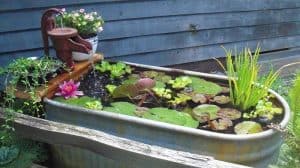 Galvanized DIY Bathtub mini pond