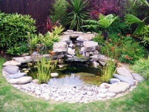 Garden pond with rocks