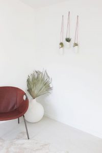 Hanging Cups For Indoor Gardening