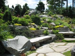 Hillside rock garden