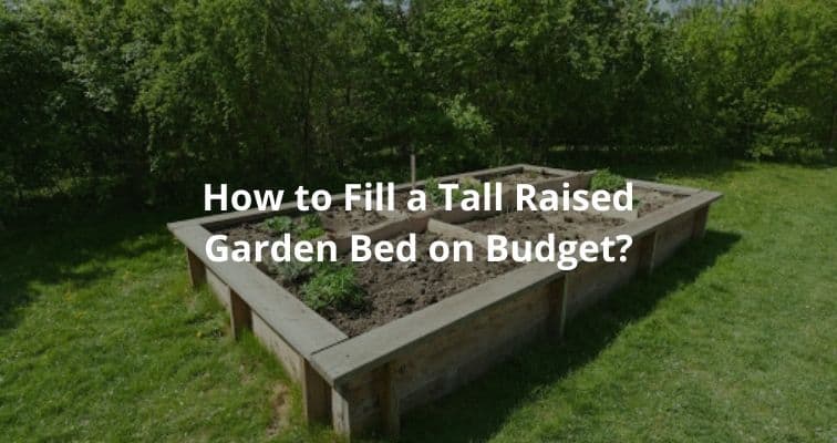 How to Fill a Tall Raised Garden Bed on Budget? - Igra World