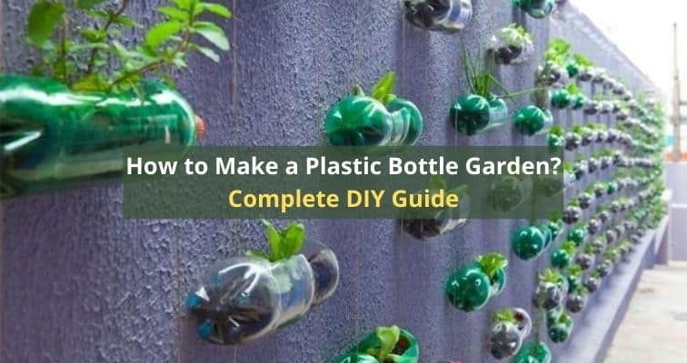 How to Build a Bottle Garden, Bottle Garden Guide