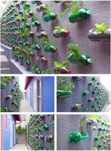 Make a Plastic Bottle Garden