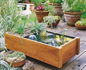 Mini Pond DIY Box