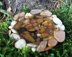 Mini Rock Pond