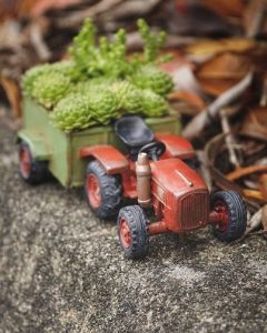 Miniature Tractor with Plants