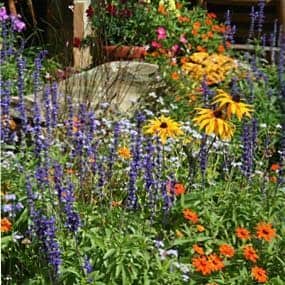 Mix perennial and different blooming season plants