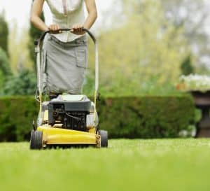 Mowing Lawn with a Lawn Mower