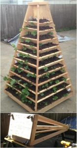 Pyramid Towers with Rollers