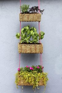 The Hanging Basket Garden