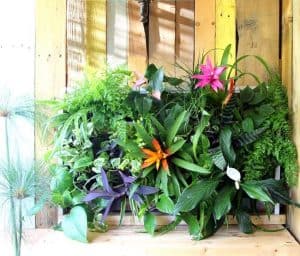 Tropical Pallet Living Wall