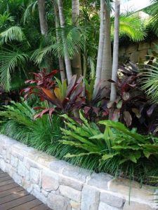 Tropical Plants in Stone Beds