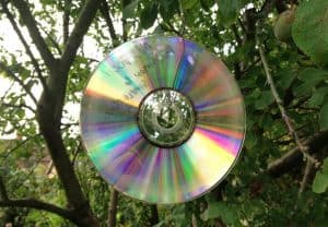 Use of CDs & Mirrors