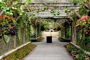 Walkway Hanging Garden