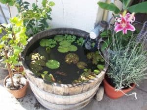 Wine barrel mini pond