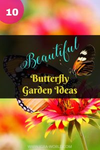 butterfly garden ideas