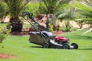  Tips When Renting a Lawn Mower