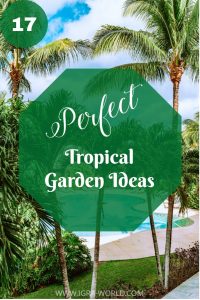 tropical garden ideas