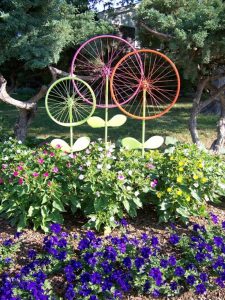 Bicycle Rim Flowers
